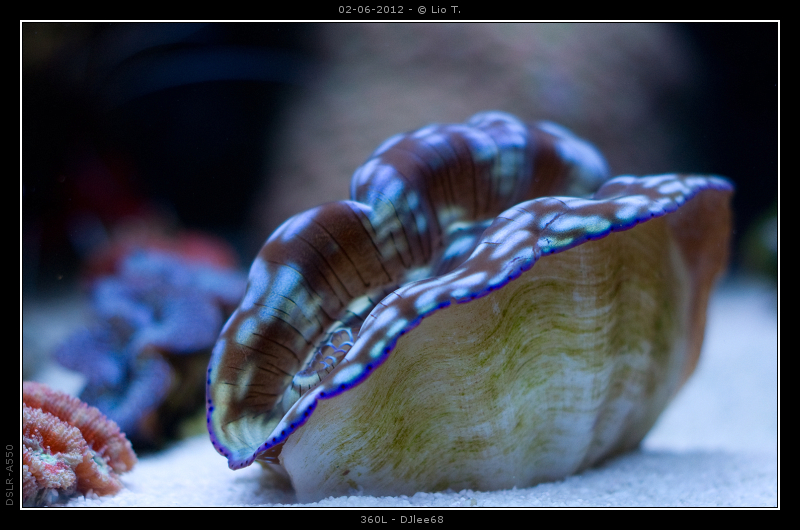 DSC05047.jpg