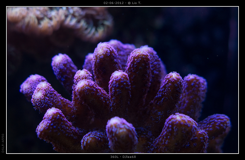 DSC05051.jpg