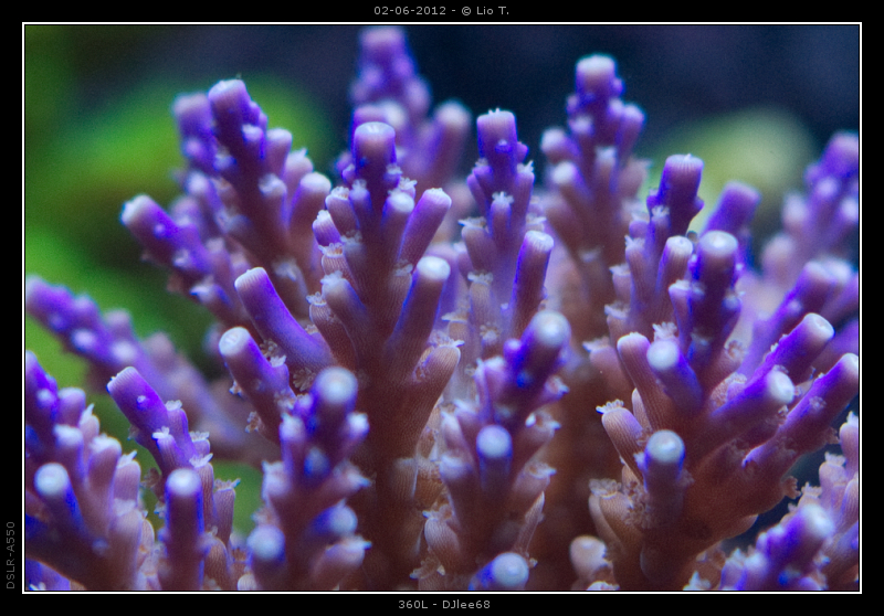 DSC05054.jpg