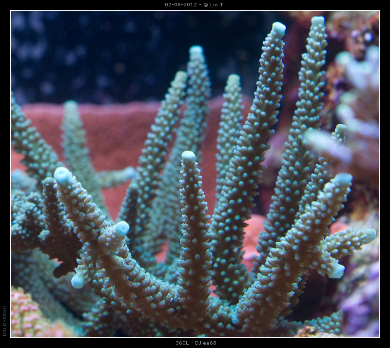 DSC05058.jpg