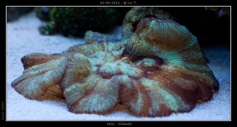 DSC05060.jpg