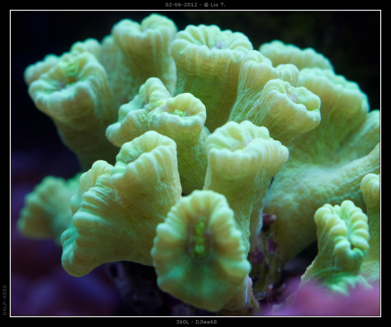 DSC05064.jpg