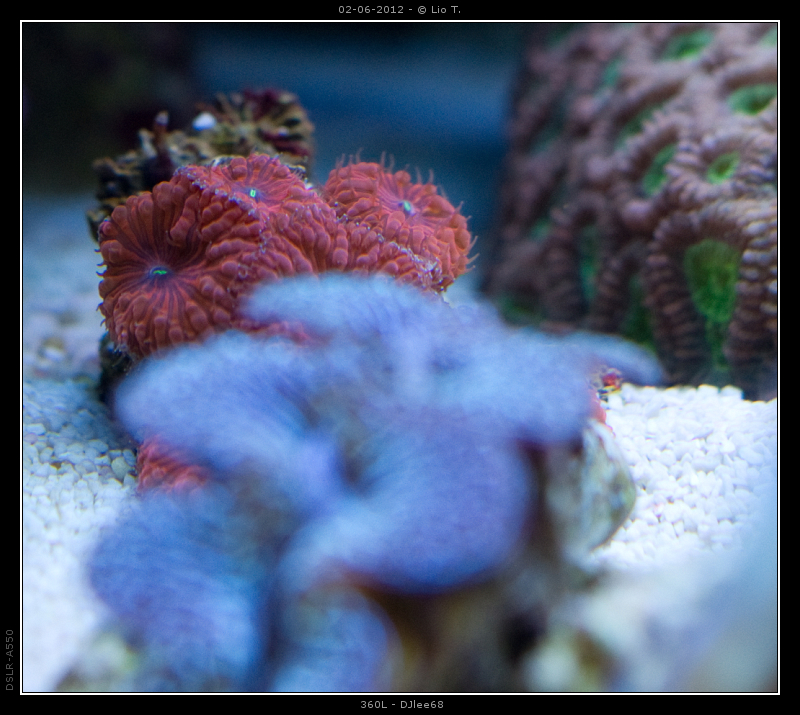 DSC05081.jpg