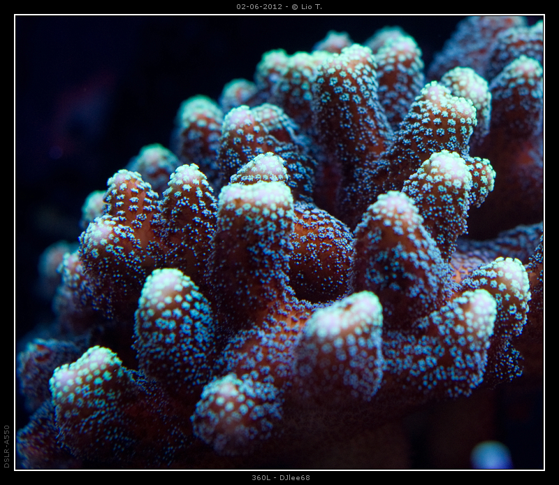 DSC05083.jpg