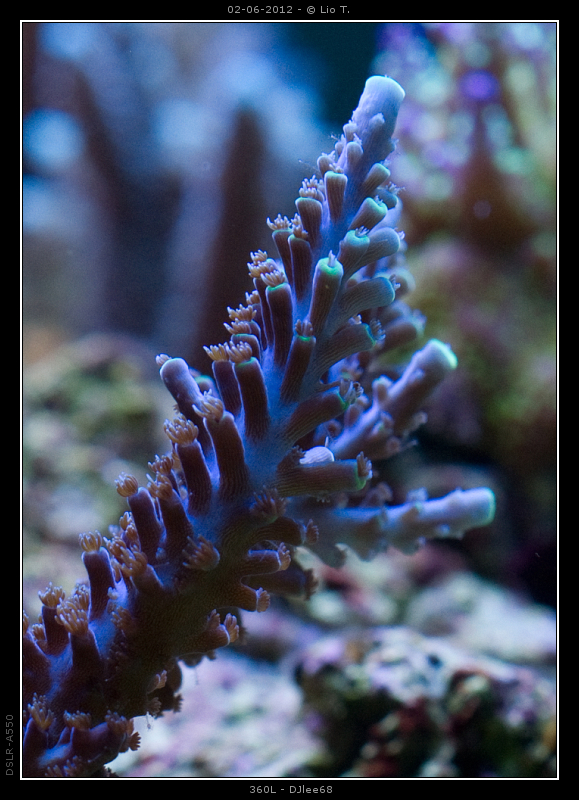 DSC05086.jpg