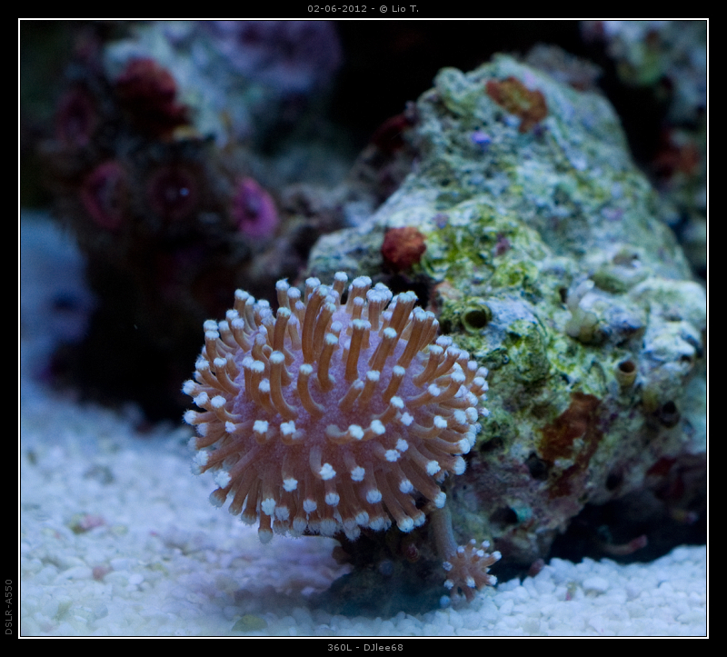DSC05087.jpg