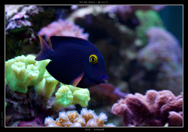 DSC05098.jpg
