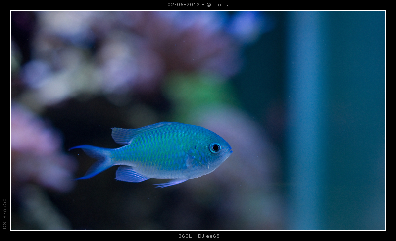 DSC05100.jpg