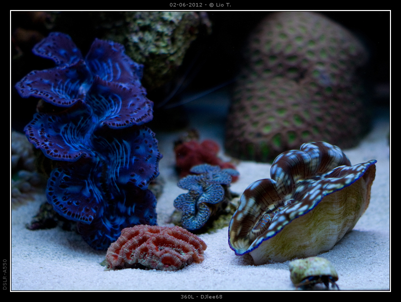 DSC05107.jpg
