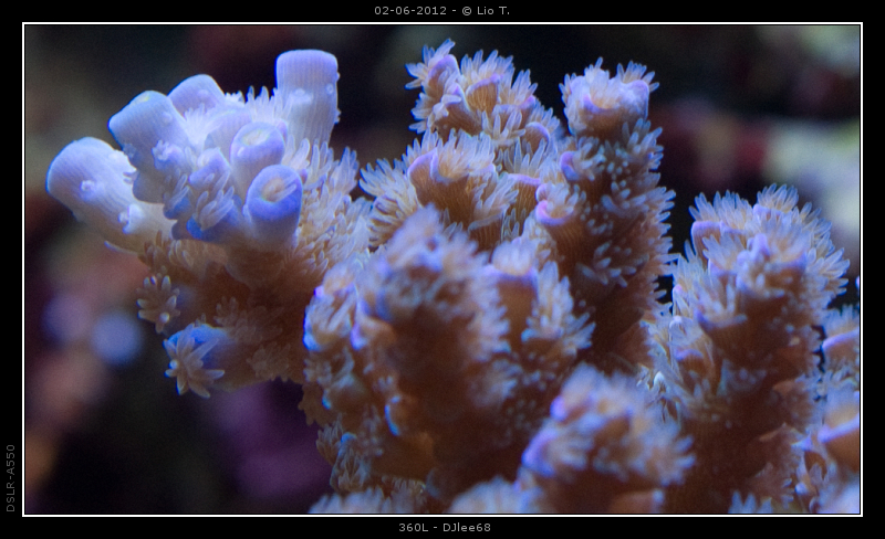 DSC05112.jpg