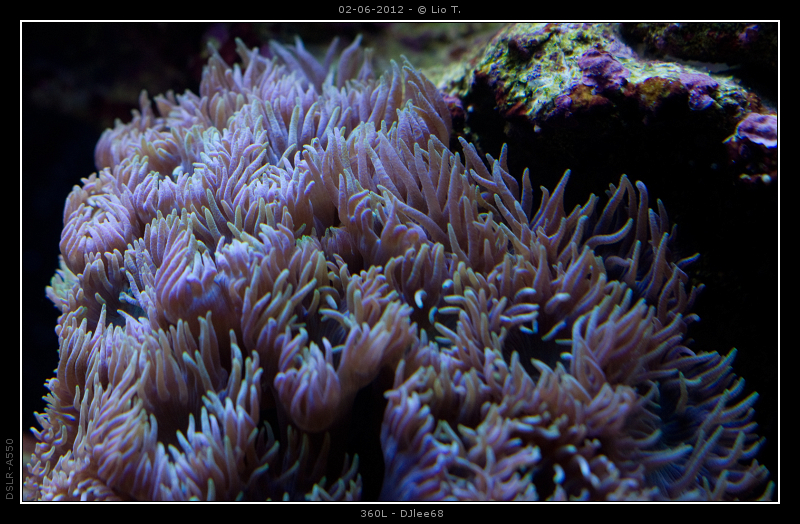 DSC05113.jpg