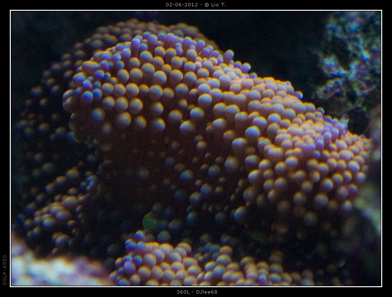 DSC05124.jpg