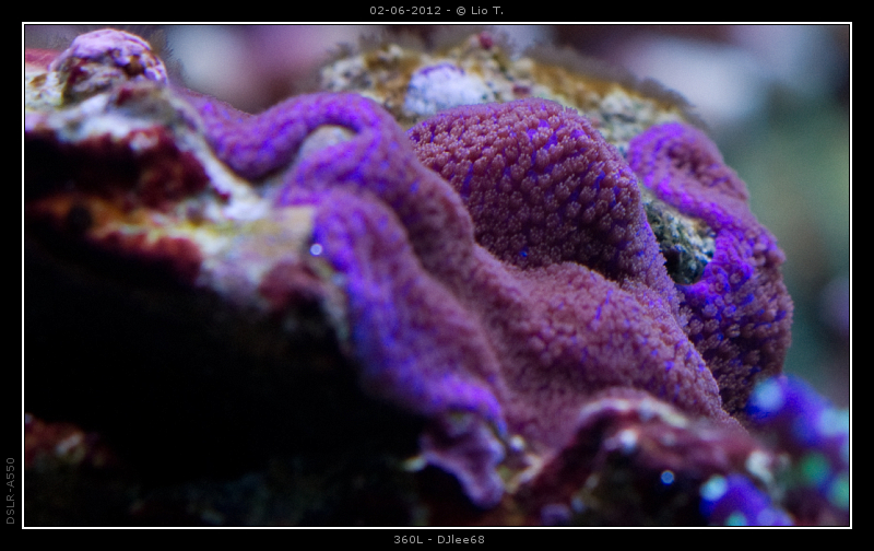 DSC05144.jpg