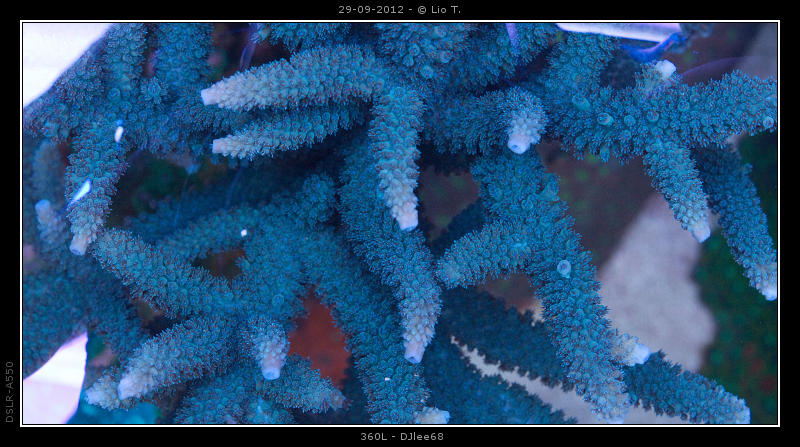 DSC06444.jpg