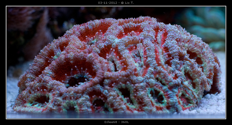 DSC06675.jpg