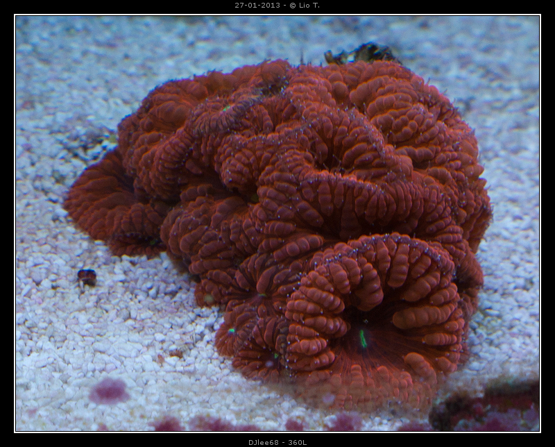 DSC06975.jpg