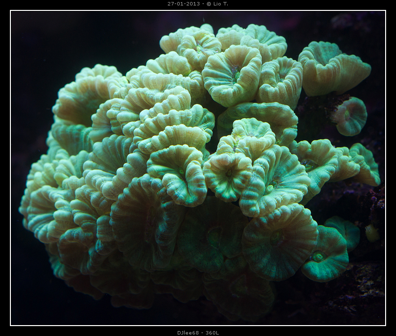 DSC06988.jpg