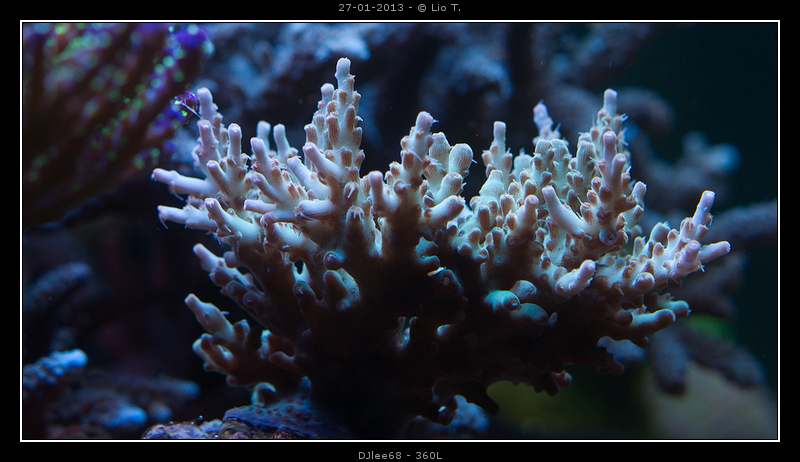 DSC07010.jpg