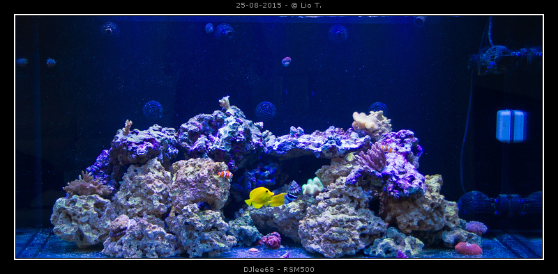DSC01802.jpg