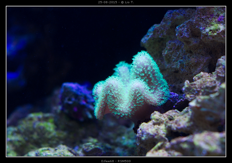 DSC01813.jpg