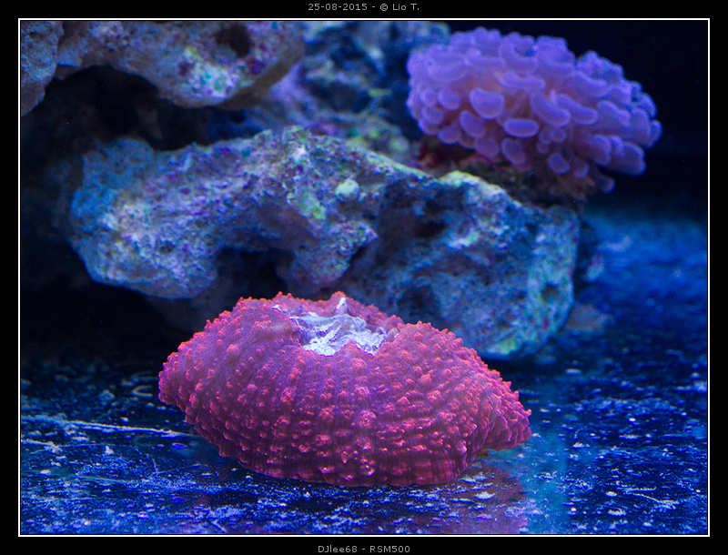 DSC01836.jpg