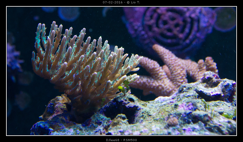 DSC02392.jpg