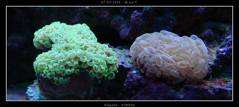 DSC02415.jpg