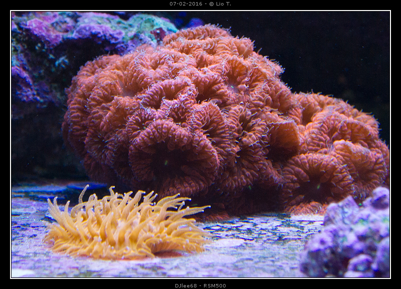 DSC02421.jpg